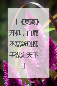 《莫离》开机，白鹿丞磊新剧携手谋定天下