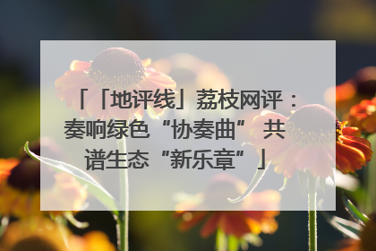 「地评线」荔枝网评：奏响绿色“协奏曲” 共谱生态“新乐章”