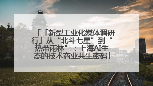 「新型工业化媒体调研行」从“北斗七星”到“热带雨林”：上海AI生态的技术商业共生密码