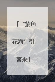 “紫色花海”引客来
