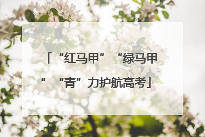 “红马甲”“绿马甲”“青”力护航高考
