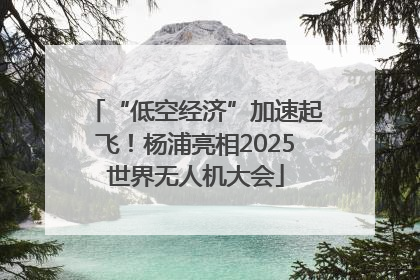 “低空经济”加速起飞！杨浦亮相2025世界无人机大会