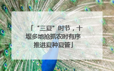 “三夏”时节，十堰多地抢抓农时有序推进夏种夏管
