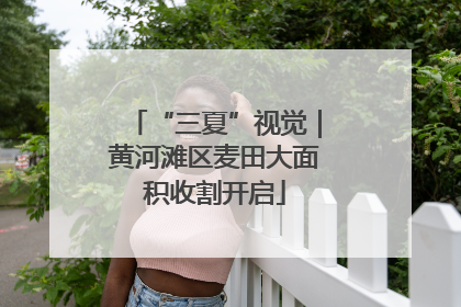 “三夏”视觉｜黄河滩区麦田大面积收割开启