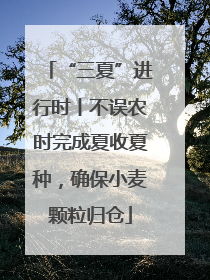 “三夏”进行时丨不误农时完成夏收夏种，确保小麦颗粒归仓