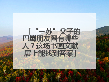 “三苏”父子的巴蜀朋友圈有哪些人？这场书画文献展上能找到答案