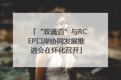 “双通道”与RCEP口岸协同发展推进会在怀化召开