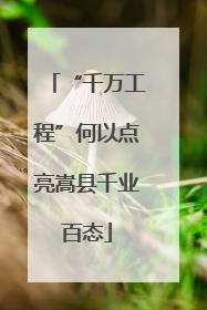 “千万工程”何以点亮嵩县千业百态