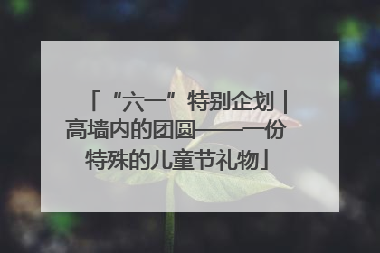 “六一”特别企划｜高墙内的团圆——一份特殊的儿童节礼物