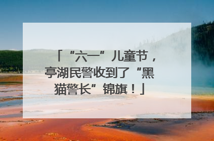 “六一”儿童节，亭湖民警收到了“黑猫警长”锦旗！