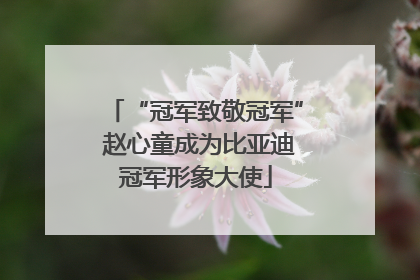 “冠军致敬冠军” 赵心童成为比亚迪冠军形象大使