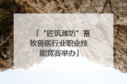 “匠筑潍坊”畜牧兽医行业职业技能竞赛举办