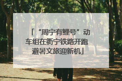 “周宁有鲤号”动车组在衢宁铁路开跑 避暑文旅迎新机