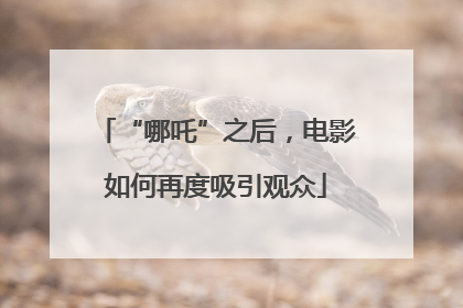 “哪吒”之后，电影如何再度吸引观众