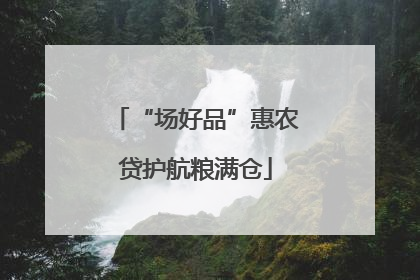 “场好品”惠农贷护航粮满仓