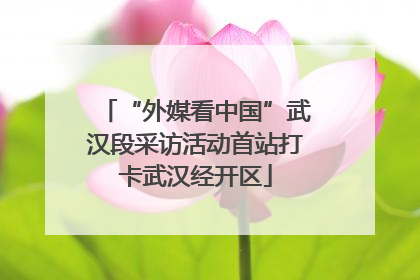 “外媒看中国”武汉段采访活动首站打卡武汉经开区