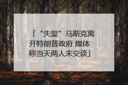 “失望”马斯克离开特朗普政府 媒体称当天两人未交谈