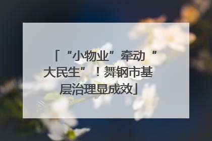 “小物业”牵动“大民生”！舞钢市基层治理显成效