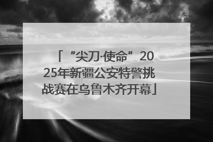 “尖刀·使命”2025年新疆公安特警挑战赛在乌鲁木齐开幕