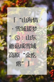 “山海情・雪域援梦”⑤：山东蘑菇成雪域高原“金疙瘩”