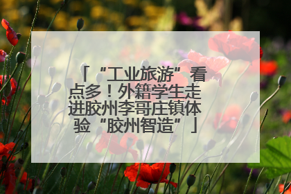 “工业旅游”看点多！外籍学生走进胶州李哥庄镇体验“胶州智造”