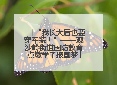 “我长大后也要穿军装！”——观沙岭街道国防教育点燃学子报国梦