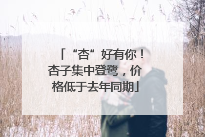 “杏”好有你！杏子集中登鹭，价格低于去年同期