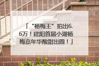 “杨梅王”拍出6.6万！建阳首届小湖杨梅嘉年华酸甜出圈！