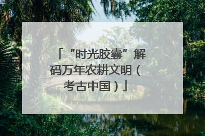 “时光胶囊”解码万年农耕文明（考古中国）