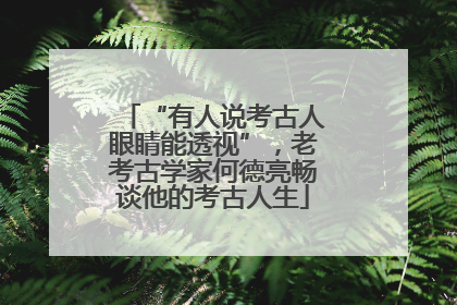 “有人说考古人眼睛能透视”，老考古学家何德亮畅谈他的考古人生