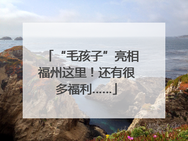 “毛孩子”亮相福州这里！还有很多福利……