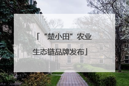 “楚小田”农业生态链品牌发布