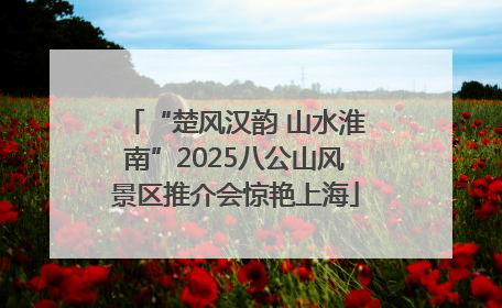 “楚风汉韵 山水淮南”2025八公山风景区推介会惊艳上海