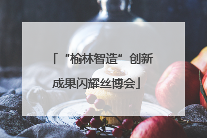 “榆林智造”创新成果闪耀丝博会