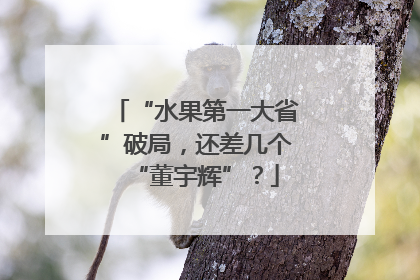 “水果第一大省”破局，还差几个“董宇辉”？