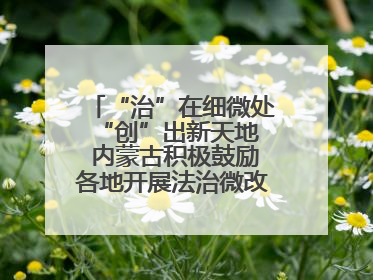 “治”在细微处 “创”出新天地 内蒙古积极鼓励各地开展法治微改革 小创新