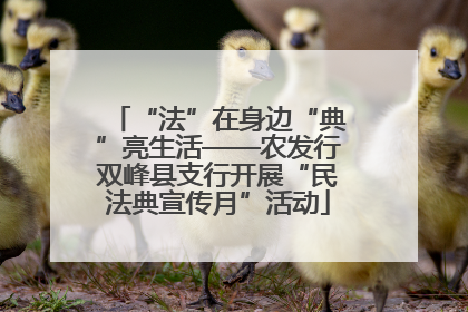 “法”在身边“典”亮生活——农发行双峰县支行开展“民法典宣传月”活动
