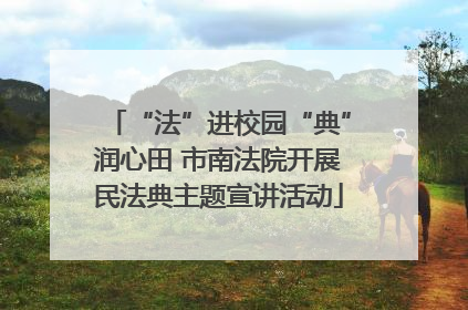 “法”进校园“典”润心田 市南法院开展民法典主题宣讲活动