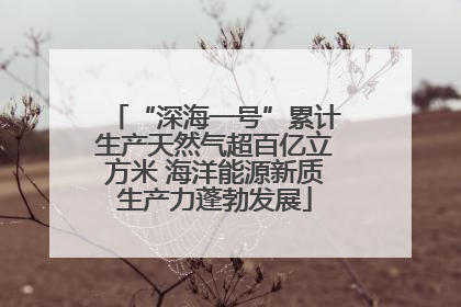“深海一号”累计生产天然气超百亿立方米 海洋能源新质生产力蓬勃发展