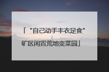 “自己动手丰衣足食”矿区闲置荒地变菜园