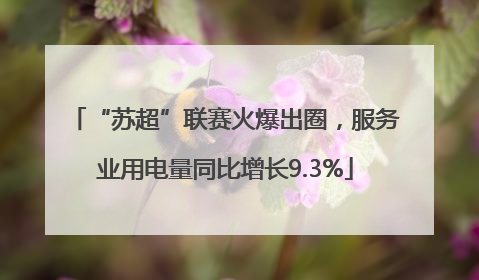 “苏超”联赛火爆出圈，服务业用电量同比增长9.3%