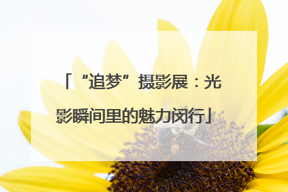 “追梦”摄影展：光影瞬间里的魅力闵行