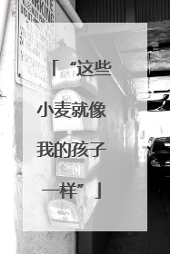 “这些小麦就像我的孩子一样”