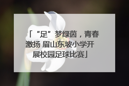 “足”梦绿茵，青春激扬 眉山东坡小学开展校园足球比赛