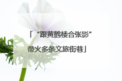 “跟黄鹤楼合张影”带火多条文旅街巷