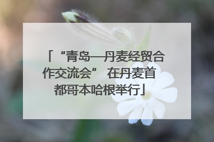 “青岛—丹麦经贸合作交流会” 在丹麦首都哥本哈根举行