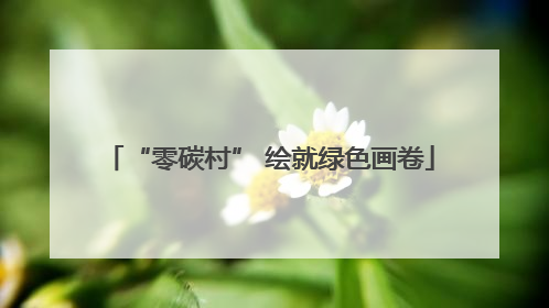 “零碳村” 绘就绿色画卷