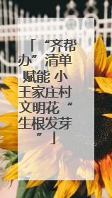 “齐帮办”清单赋能 小王家庄村文明花“生根发芽”