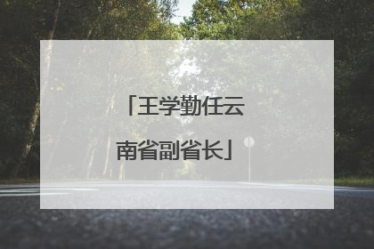 王学勤任云南省副省长