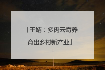王婧：多肉云寄养 育出乡村新产业